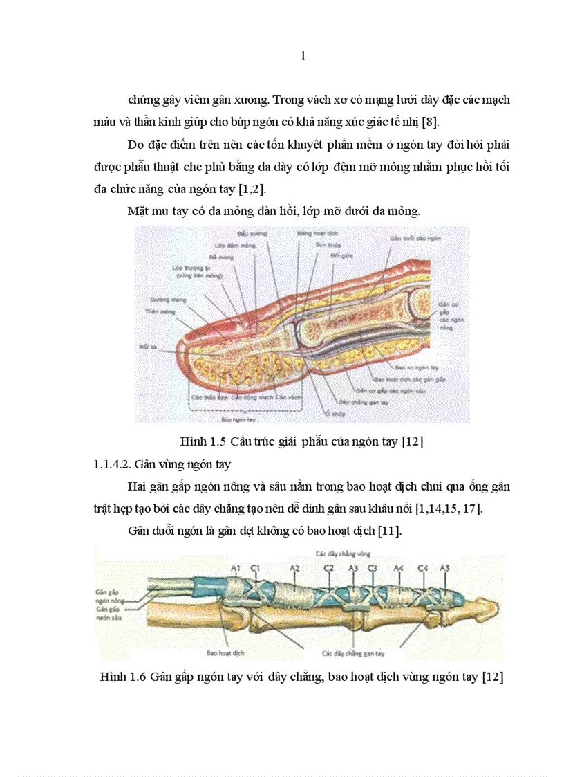image for page Nghiên cứu đặc điểm tổn thương và đánh giá kết quả điều trị vết thương bàn tay tại Bệnh viện Xanh Pôn 1