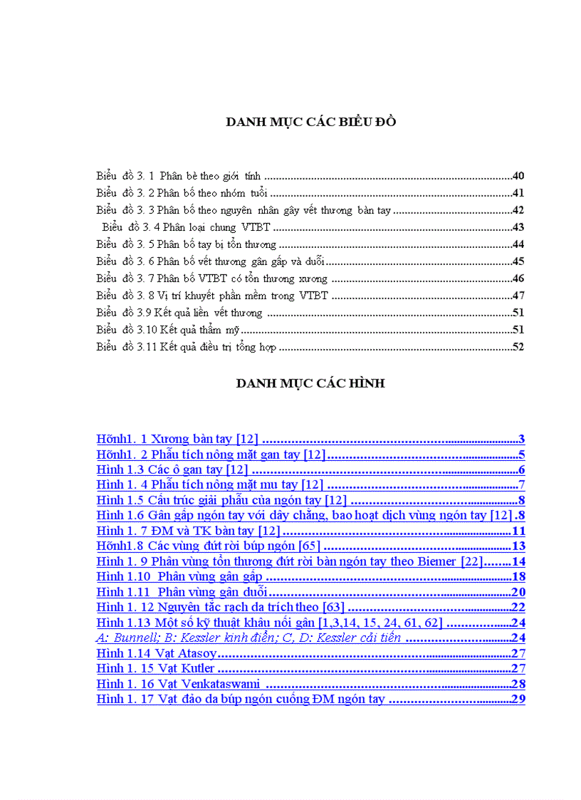 image for page Nghiên cứu đặc điểm tổn thương và đánh giá kết quả điều trị vết thương bàn tay tại Bệnh viện Xanh Pôn 1