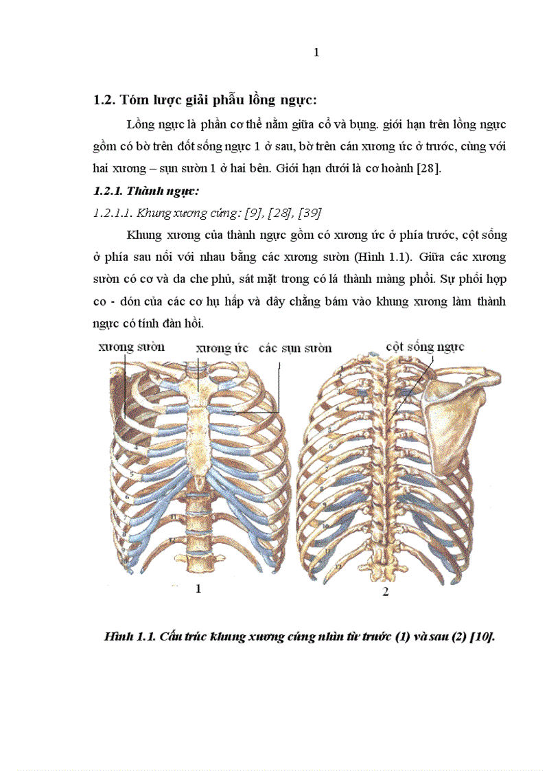 image for page Nghiên cứu đặc điểm lâm sàng cận lâm sàng và kết quả điều trị tràn máu tràn khí màng phổi hai bên trong chấn thương ngực kín 1
