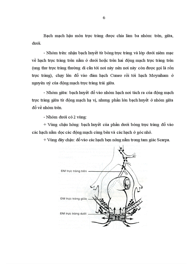 image for page Đánh giá kết quả của phẫu thuật nội soi trong điều trị ung thư trực tràng tại bệnh viện Việt Đức từ 2003 2008