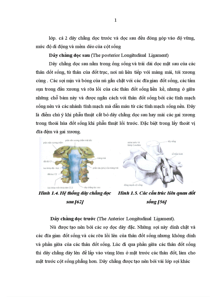 image for page Nghiên cứu chần đoán và điều trị phẫu thuật thoát vị đĩa đệm cột sống cổ bằng đường mổ cổ trước bên tại Bệnh viện Việt Đức