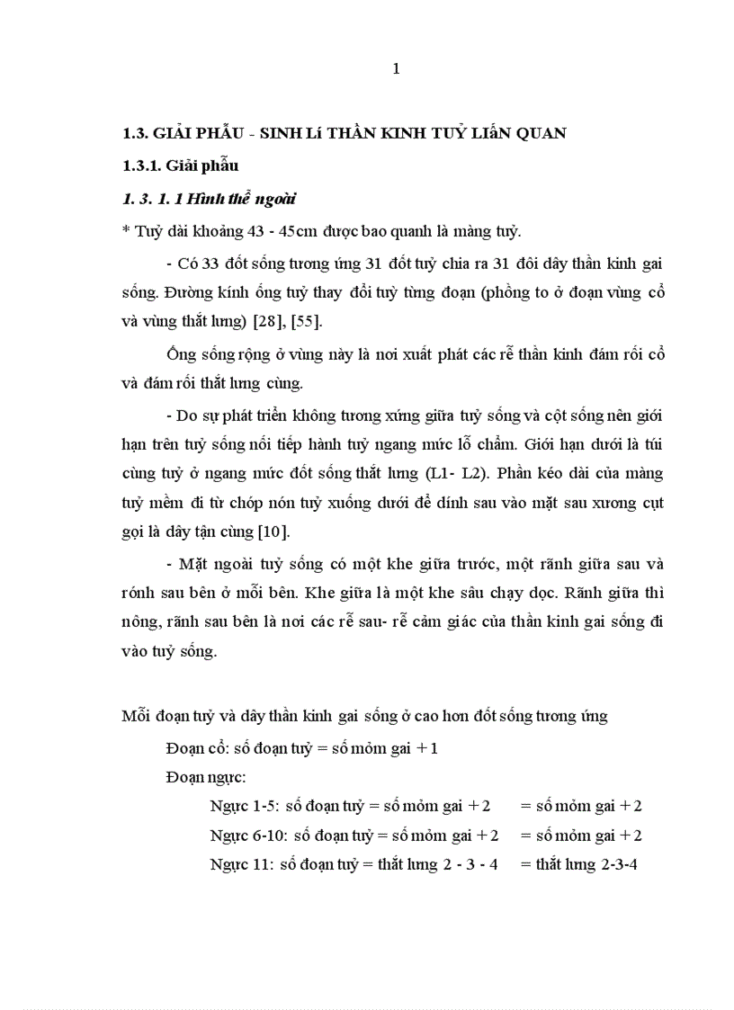 image for page Đánh giá kết quả điều trị phẫu thuật cố định cột sống ngực bằng phương pháp bắt vít qua cuống và giải ép lối sau tại Bệnh viện Việt Đức