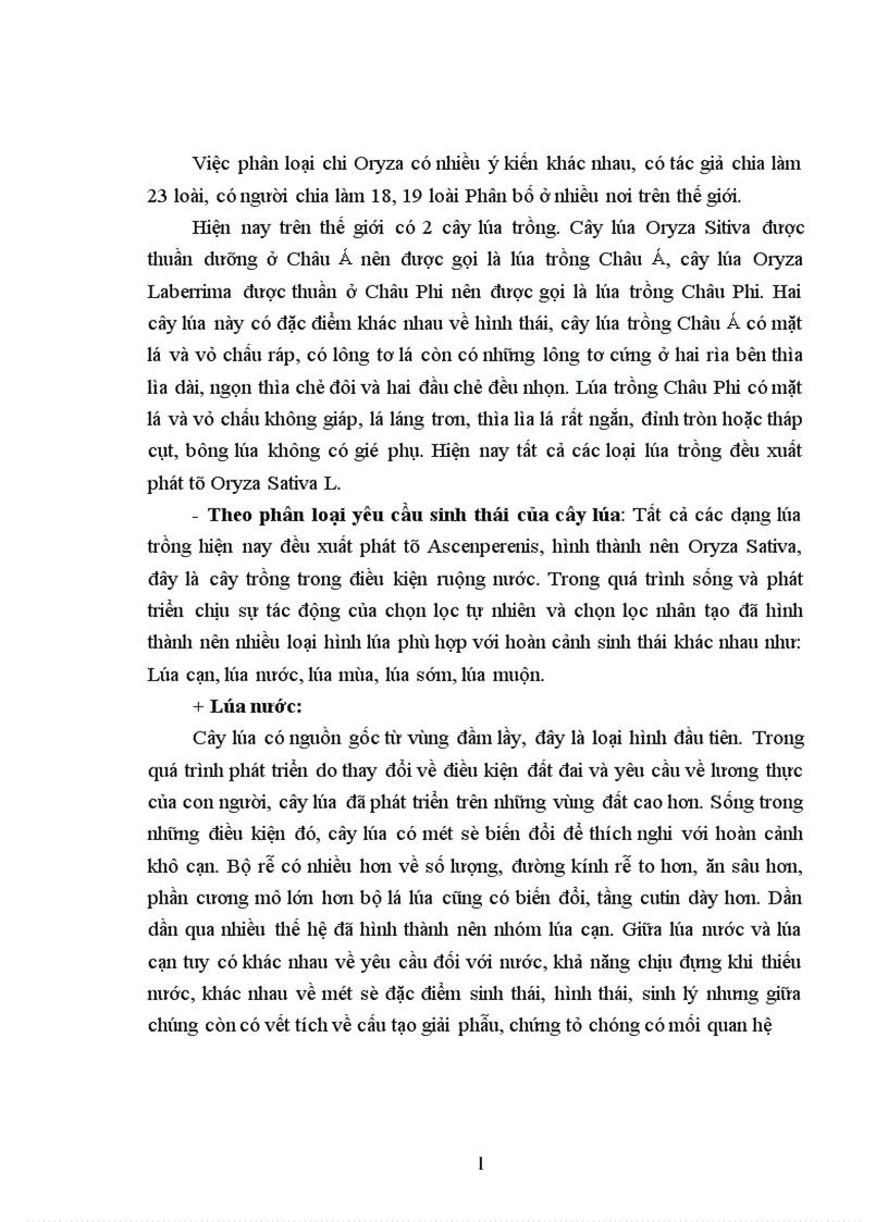 image for page Điều tra tình hình sản xuất lúa ở xã Bằng Doãn Huyện Đoan Hùng Tỉnh Phú Thọ