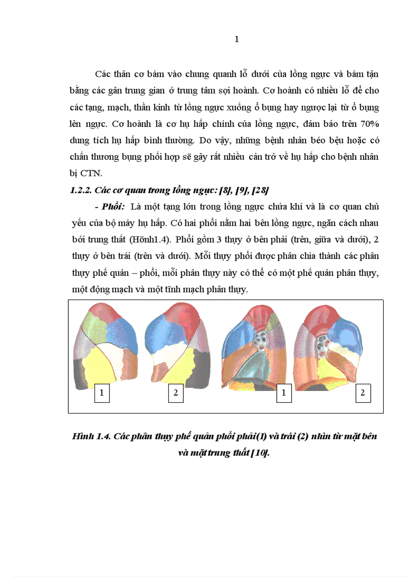 image for page Nghiên cứu đặc điểm lâm sàng cận lâm sàng và kết quả điều trị tràn máu tràn khí màng phổi hai bên trong chấn thương ngực kín 1
