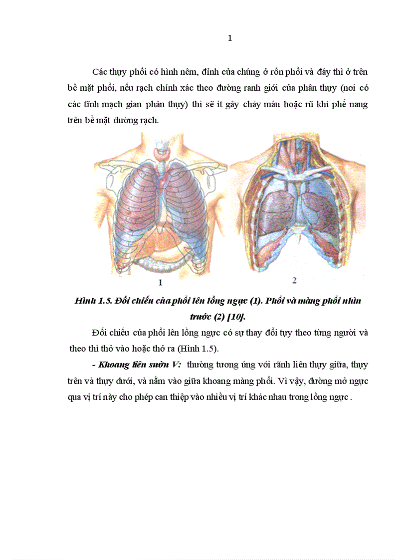 image for page Nghiên cứu đặc điểm lâm sàng cận lâm sàng và kết quả điều trị tràn máu tràn khí màng phổi hai bên trong chấn thương ngực kín 1
