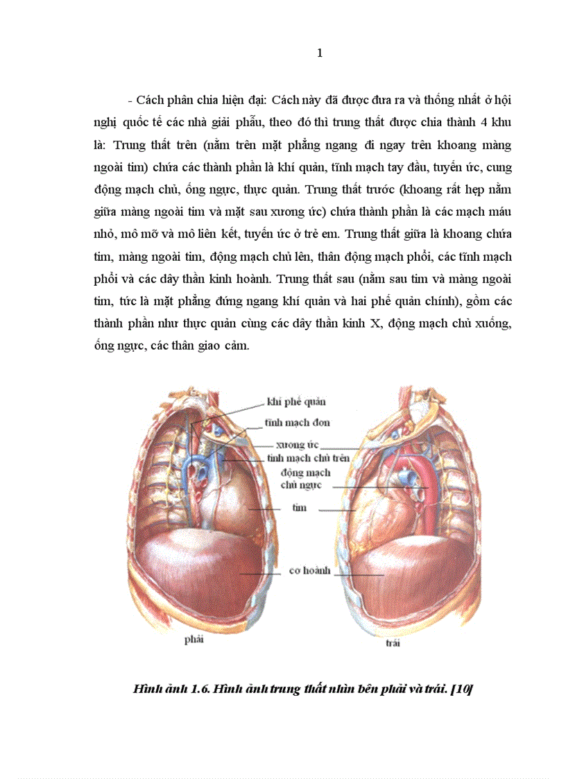 image for page Nghiên cứu đặc điểm lâm sàng cận lâm sàng và kết quả điều trị tràn máu tràn khí màng phổi hai bên trong chấn thương ngực kín 1