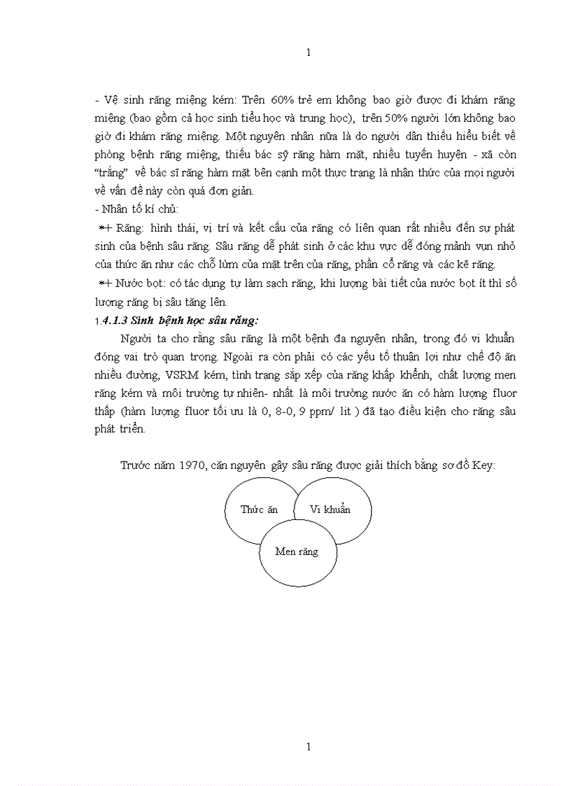 image for page Thực trạng bệnh răng miệng và các yếu tố liên quan của học sinh trường tiểu học Tam Hiệp Thanh Trì Hà Nội năm 2009 1