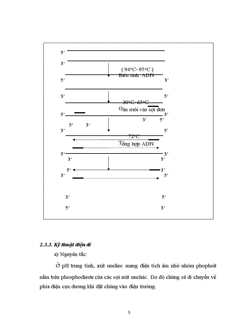image for page Phân tích đa dạng trình tự nucleotit các vùng tương đồng gen kháng ở một số giống lúa Việt Nam