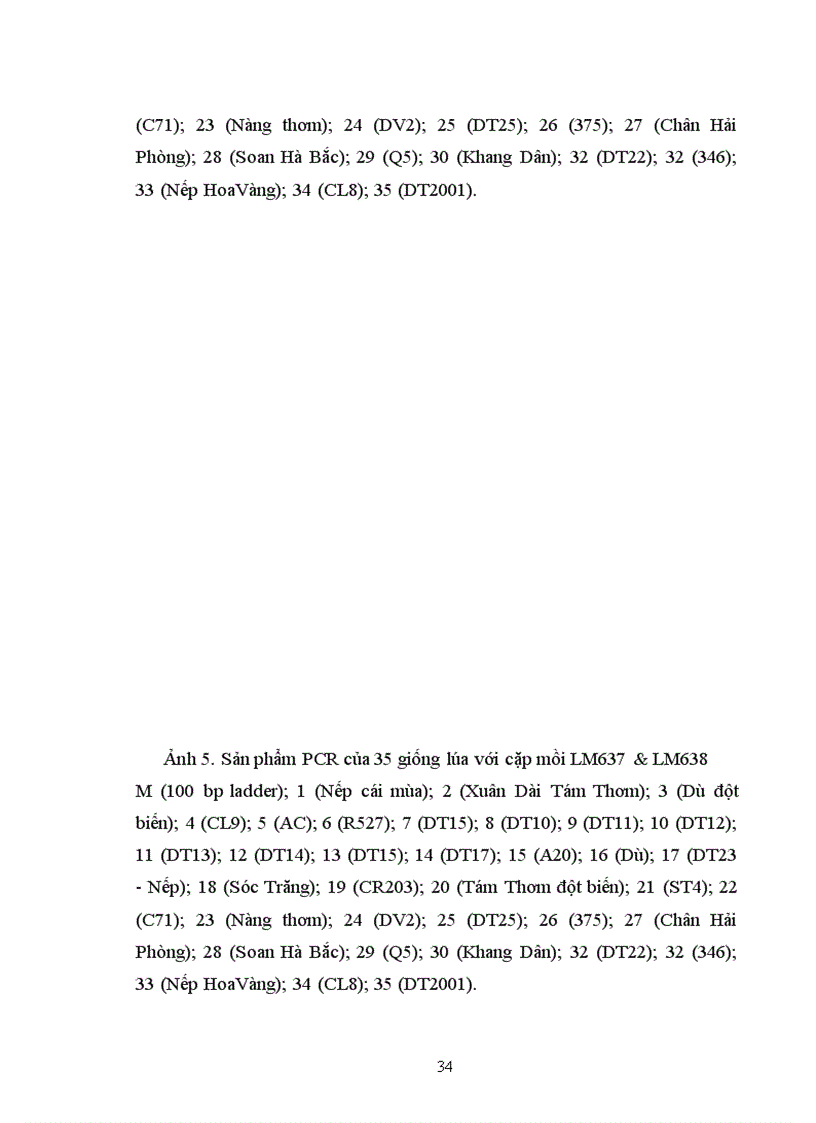 image for page Phân tích đa dạng trình tự nucleotit các vùng tương đồng gen kháng ở một số giống lúa Việt Nam