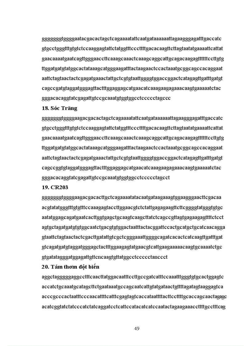 image for page Phân tích đa dạng trình tự nucleotit các vùng tương đồng gen kháng ở một số giống lúa Việt Nam