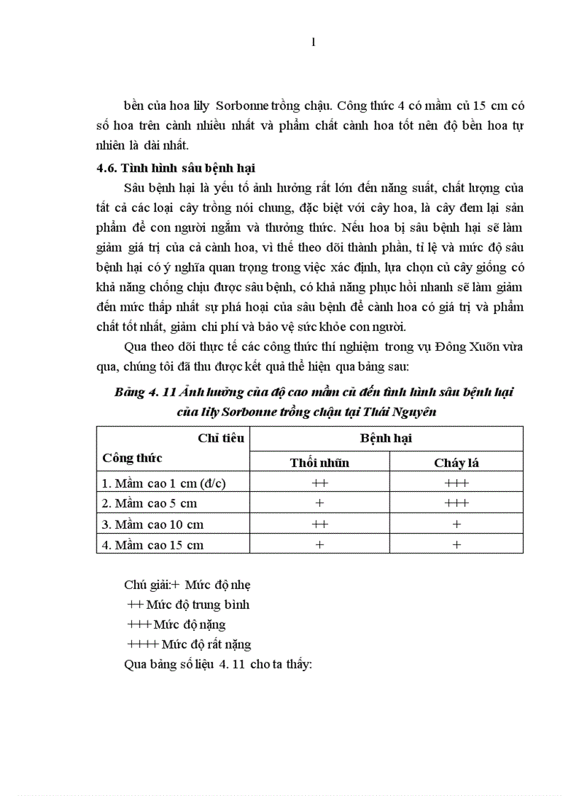 image for page Nghiên cứu ảnh hưởng của độ cao mầm củ đến năng suất chất lượng hoa lily Sorbonne trồng chậu vụ Đông Xuân 2010 2011 tại Thái Nguyên
