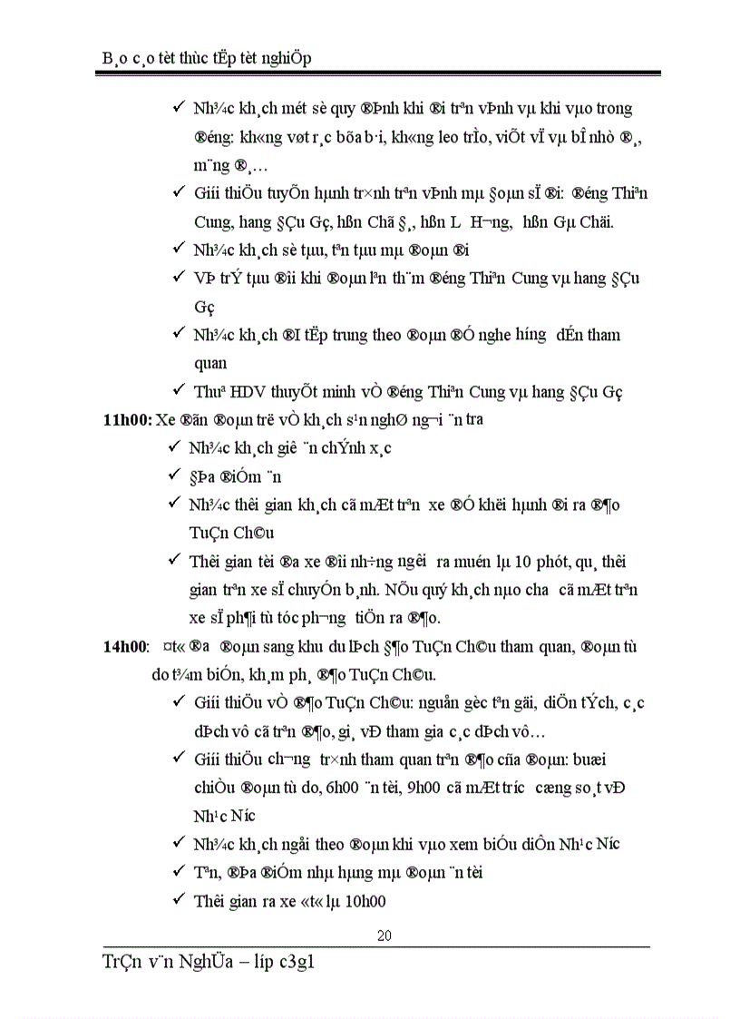 image for page Báo cáo thực tập tổng hợp tại Công ty TNHH đầu tư thương mại và du lịch quốc tế Hà Nội