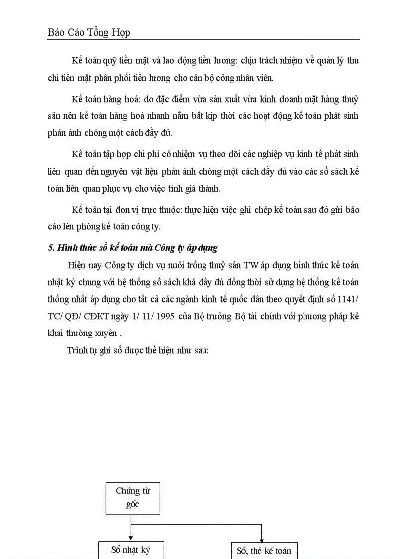 image for page Báo cáo tổng hợp về tổ chức bộ máy kế toán hình thức sổ kế toán tại Công ty dịch vụ nuôi trồng thuỷ sản trung ương