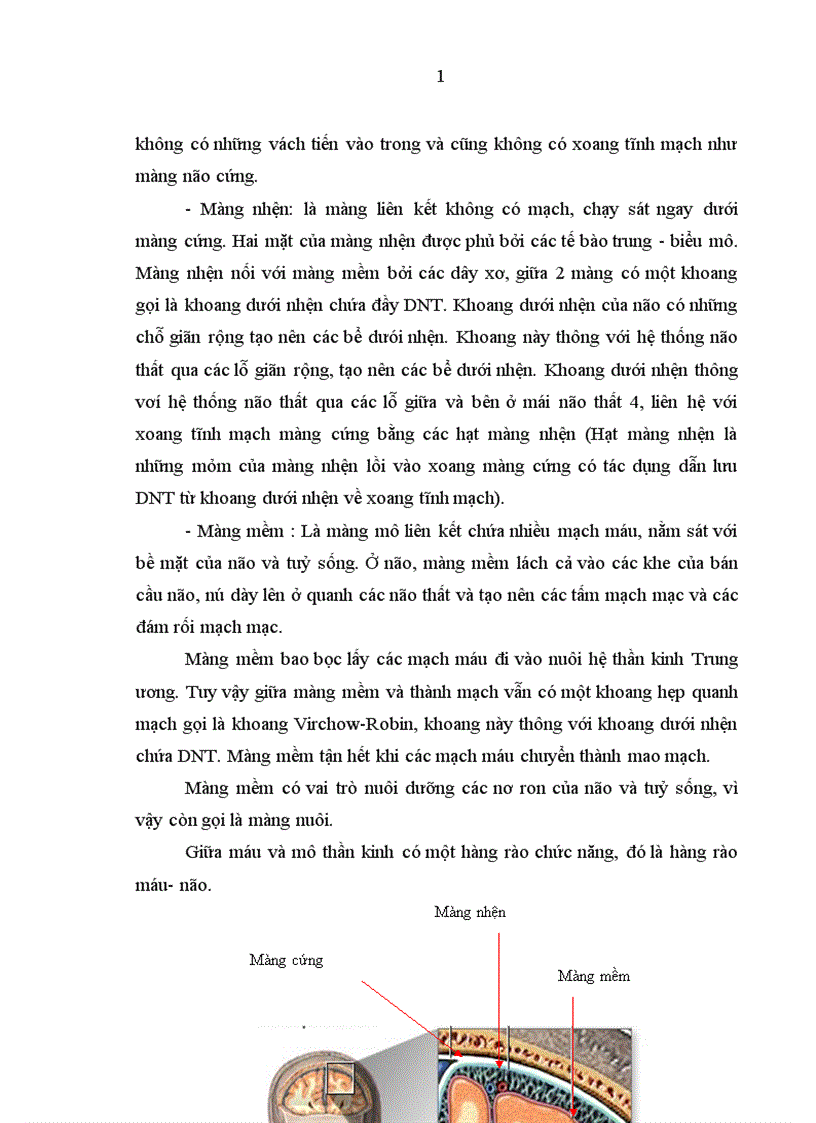 image for page Đối chiếu hình ảnh bất thường trên phim chụp cắt lớp vi tính sọ não với lâm sàng và căn nguyên bệnh viêm màng não mủ ở trẻ em