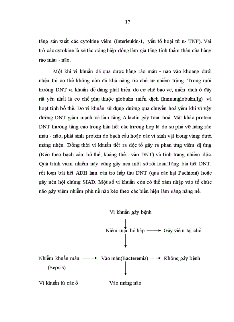image for page Đối chiếu hình ảnh bất thường trên phim chụp cắt lớp vi tính sọ não với lâm sàng và căn nguyên bệnh viêm màng não mủ ở trẻ em