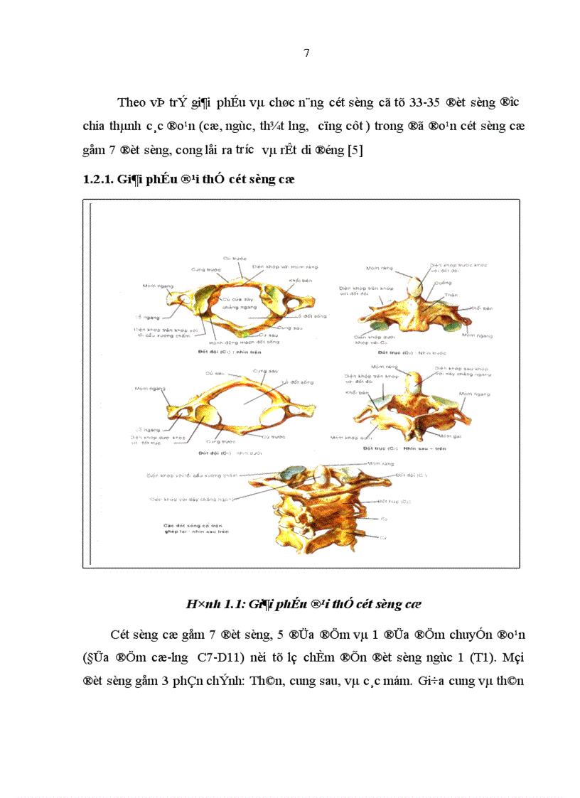 image for page Nghiên cứu đặc điểm lâm sàng cận lâm sàng và đánh giá kết quả phẫu thuật tạo hình nhân nhầy bằng sóng cao tần trong thoát vị đĩa đệm cột sống cổ tại Bệnh viện Việt Đức