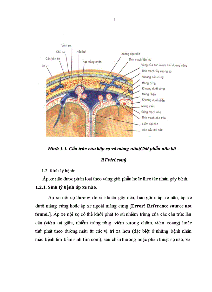 image for page Nhận xét đặc điểm lâm sàng cận lâm sàng áp xe não ở trẻ em
