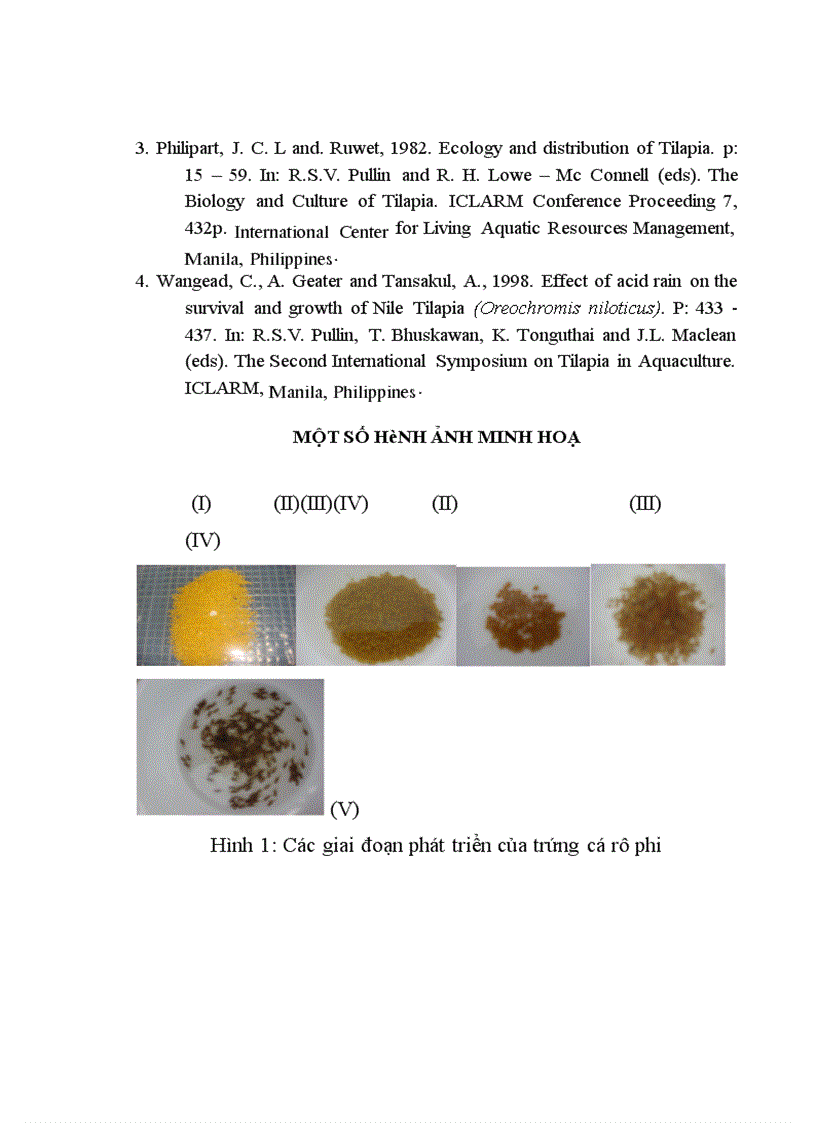 image for page áp dụng quy trình chuyển đổi giới tính cá Rô phi bằng hormone 17a Metyltestosterol tại Trung tâm giống thuỷ sản cấp 1 Bắc Giang chuyên đề tốt nghiệp đại học Hệ đào tạo