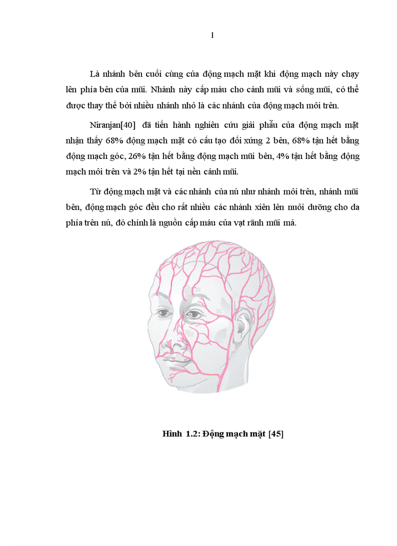 image for page Đánh giá kết quả sử dụng vạt hình thoi trong tạo hình phần mềm vùng mặt