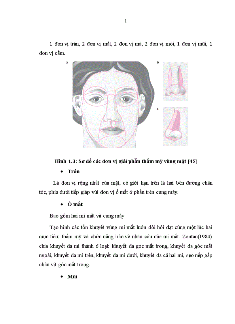 image for page Đánh giá kết quả sử dụng vạt hình thoi trong tạo hình phần mềm vùng mặt