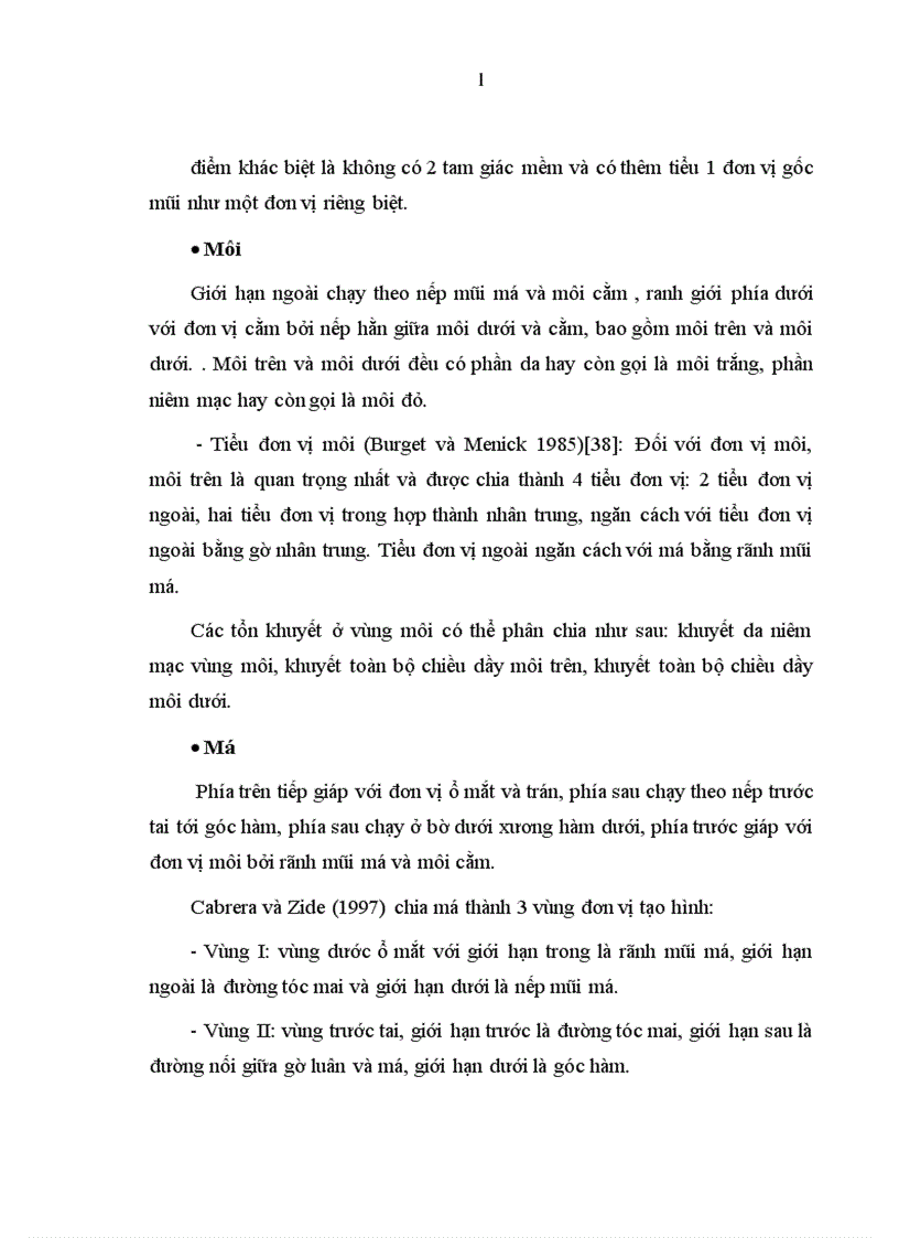 image for page Đánh giá kết quả sử dụng vạt hình thoi trong tạo hình phần mềm vùng mặt