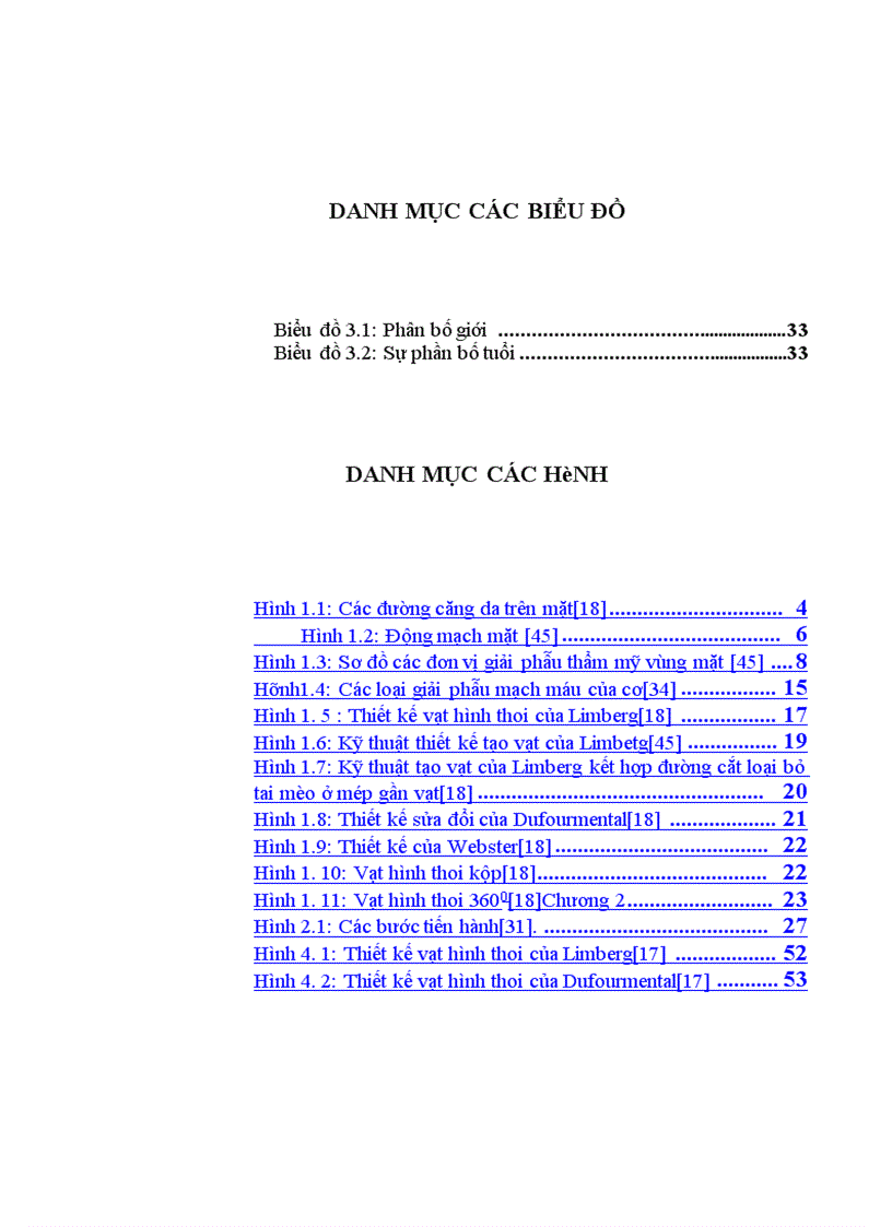 image for page Đánh giá kết quả sử dụng vạt hình thoi trong tạo hình phần mềm vùng mặt
