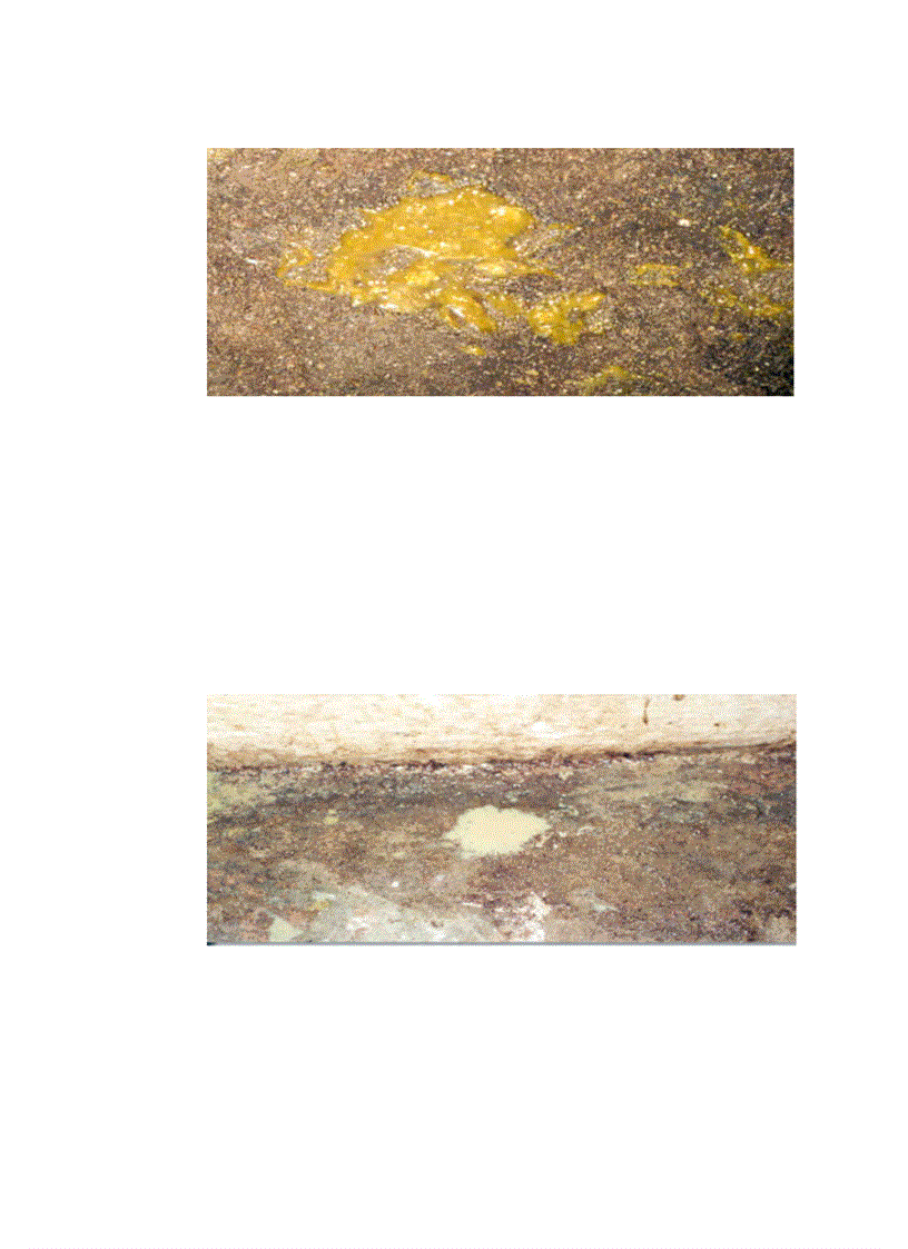 image for page Áp dụng một số biện pháp phòng trị bệnh phân trắng lợn con nuôi trong nông hộ ở một số xã thuộc huyện Tam Dương tỉnh Vĩnh Phúc