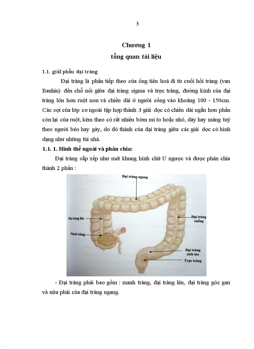 image for page Nghiên cứu kết quả điều trị phẫu thuật ung thư đại tràng tái phát tại bệnh viện Việt Đức