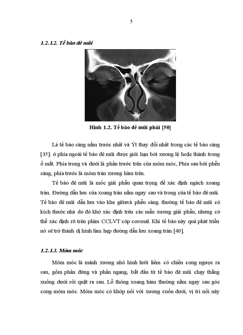 image for page Đề cương thạc sĩ Mô tả đặc điểm lâm sàng nội soi chụp cắt lớp vi tính của dị hình mũi xoang gây đau nhức sọ mặt mạn tính