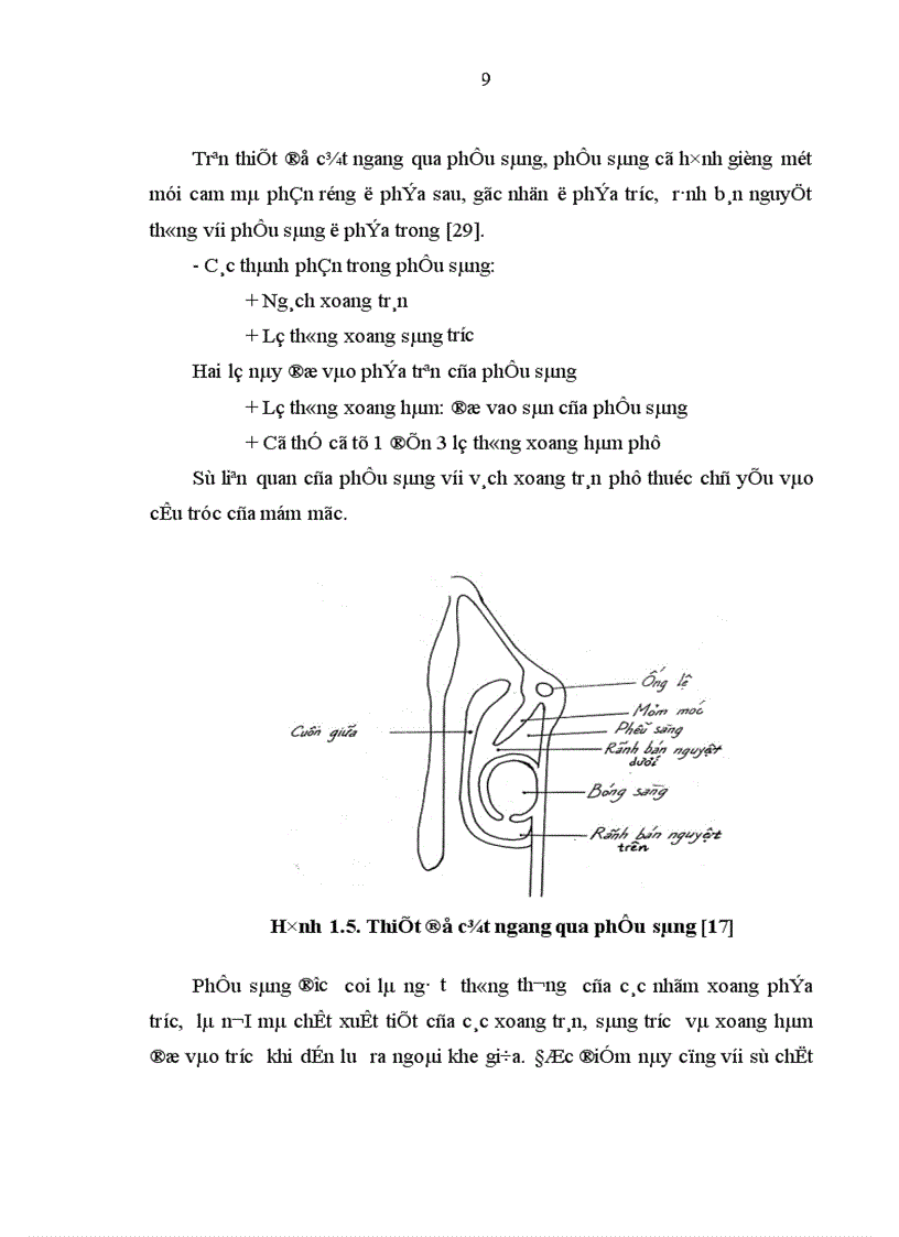 image for page Đề cương thạc sĩ Mô tả đặc điểm lâm sàng nội soi chụp cắt lớp vi tính của dị hình mũi xoang gây đau nhức sọ mặt mạn tính