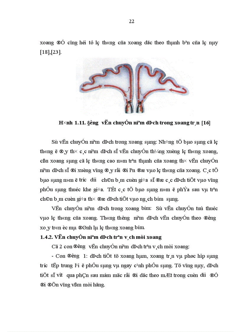 image for page Đề cương thạc sĩ Mô tả đặc điểm lâm sàng nội soi chụp cắt lớp vi tính của dị hình mũi xoang gây đau nhức sọ mặt mạn tính