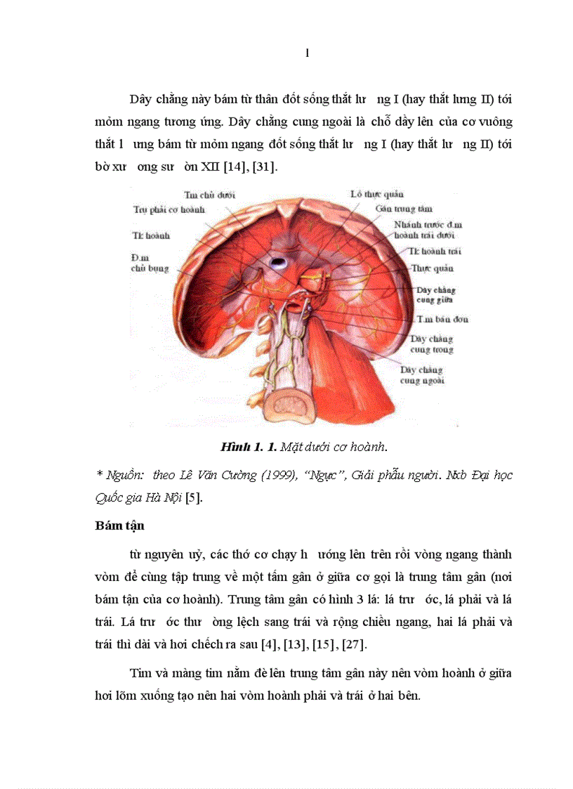 image for page Nghiên cứu một số đặc điểm lâm sàng cận lâm sàng bệnh thoát vị cơ hoành bẩm sinh qua lỗ sau bên ở trẻ em 1