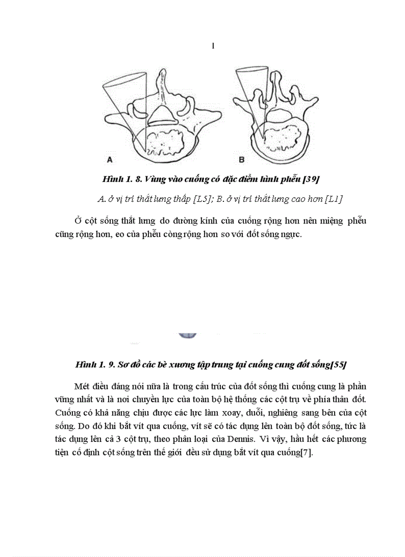 image for page Nghiên cứu đặc điểm lâm sàng chẩn đoán hình ảnh và kết quả điều trị phẫu thuật chấn thương cột sống đoạn bản lề Ngực Thắt lưng có liệt