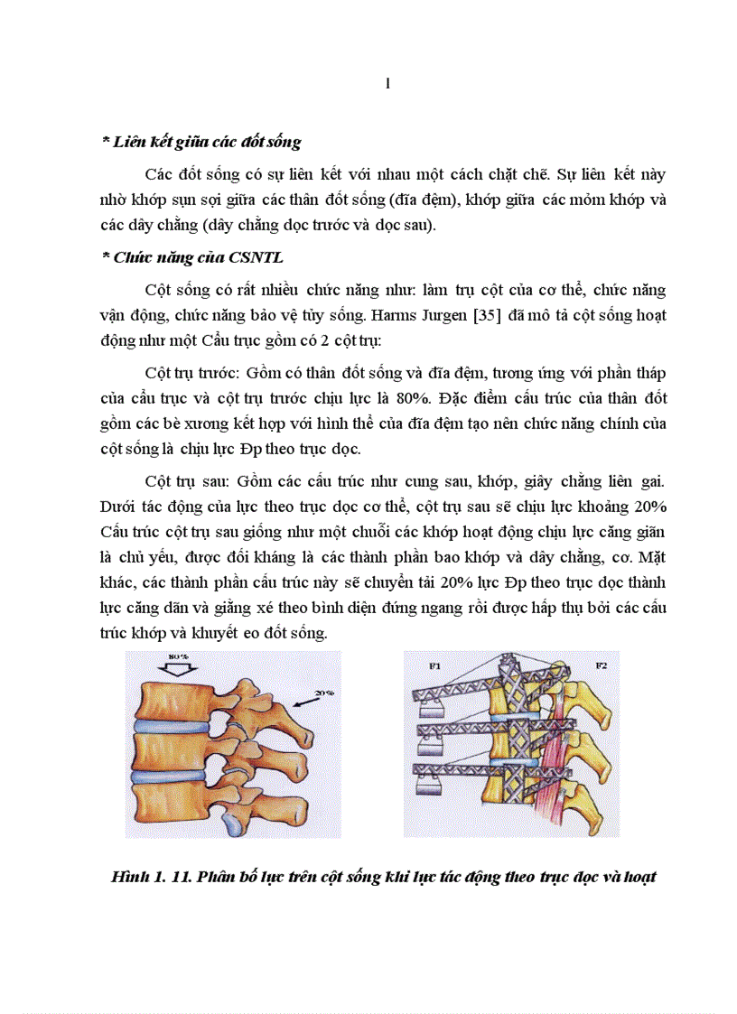 image for page Nghiên cứu đặc điểm lâm sàng chẩn đoán hình ảnh và kết quả điều trị phẫu thuật chấn thương cột sống đoạn bản lề Ngực Thắt lưng có liệt