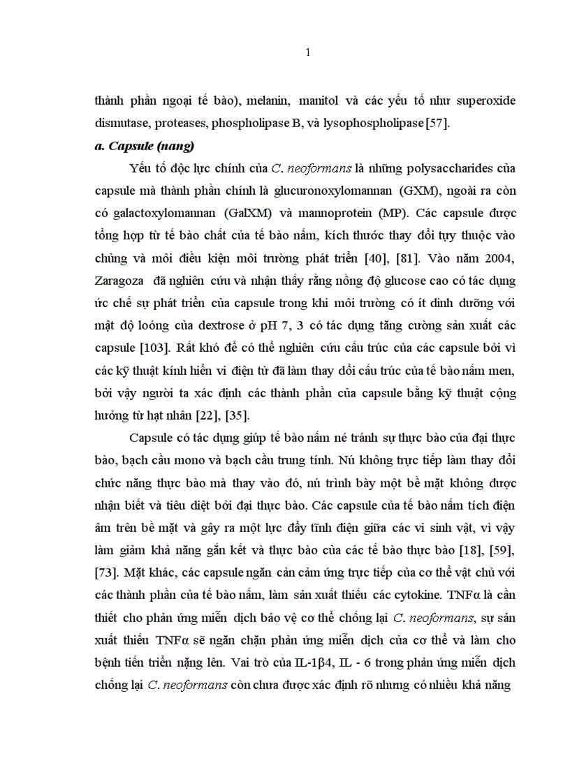 image for page Nghiên cứu đặc điểm lâm sàng cận lâm sàng của viêm màng não do nấm Cryptococcus neoformans ở bệnh nhân HIV AIDS 1