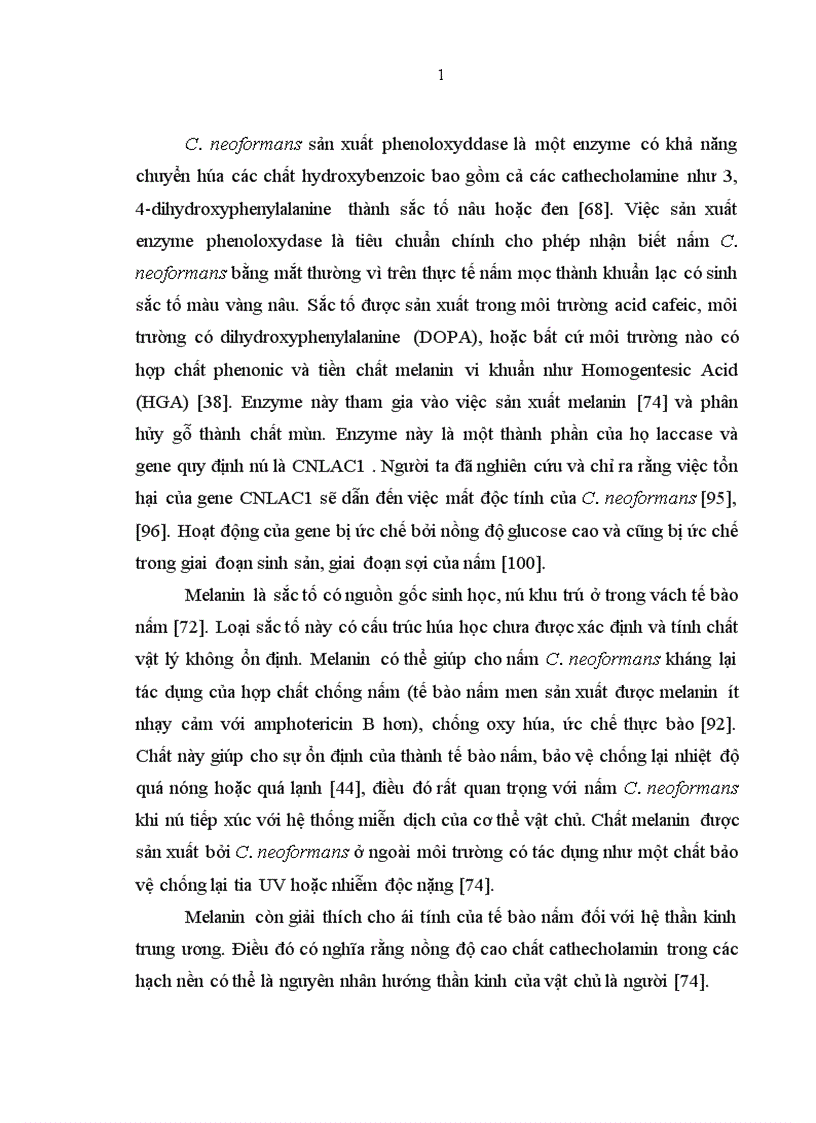 image for page Nghiên cứu đặc điểm lâm sàng cận lâm sàng của viêm màng não do nấm Cryptococcus neoformans ở bệnh nhân HIV AIDS 1