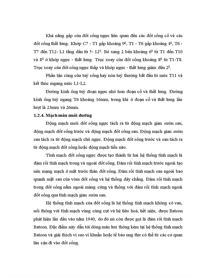 image for page Đánh giá kết quả điều trị phẫu thuật chấn thương cột sống ngực bằng phương pháp bắt vít qua cuống tại Bệnh viện Việt Đức 1