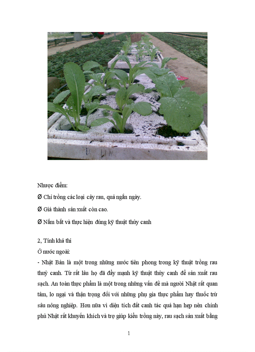 image for page Các loại hình thuỷ canh chính