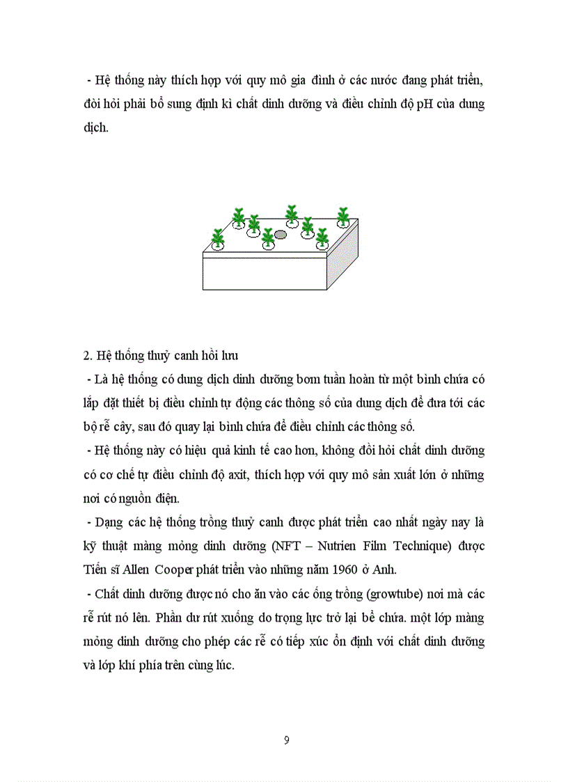 image for page Các loại hình thuỷ canh chính