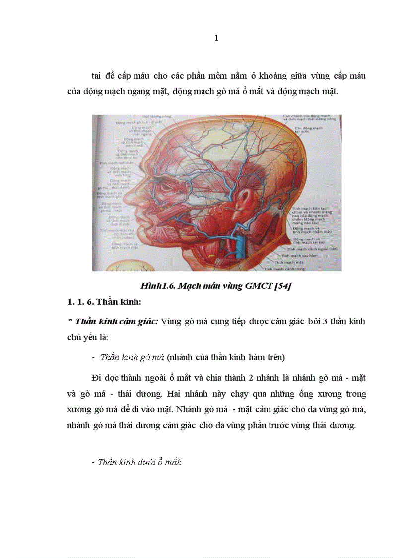 image for page Nhận xét đặc điểm lâm sàng X quang và kết quả điều trị gãy xương gò má cung tiếp bằng nẹp vít tự tiêu