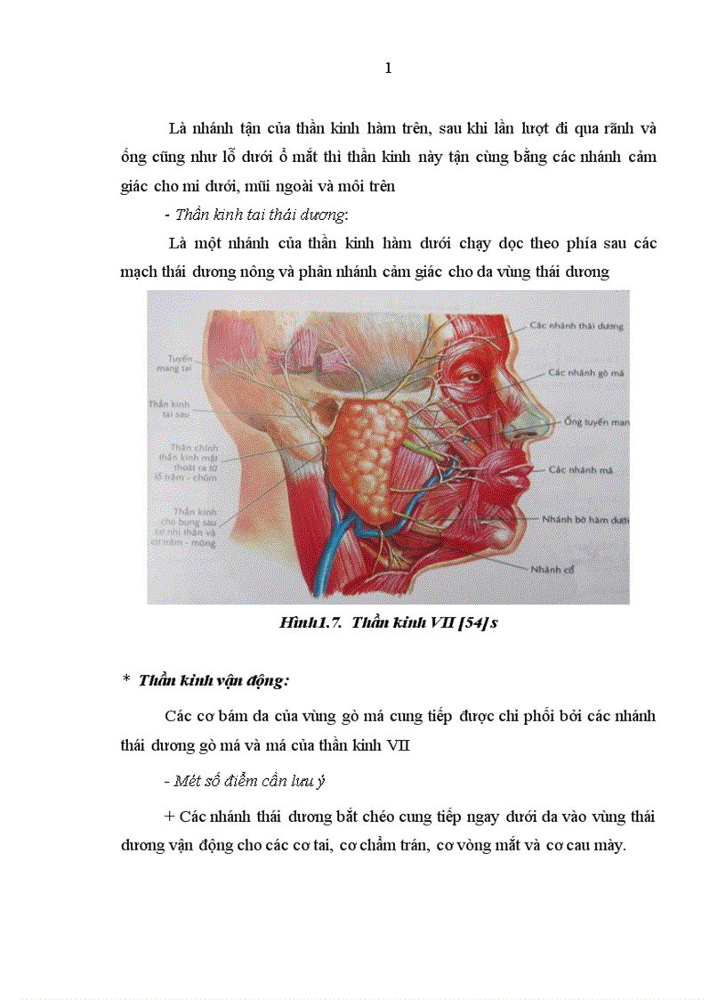 image for page Nhận xét đặc điểm lâm sàng X quang và kết quả điều trị gãy xương gò má cung tiếp bằng nẹp vít tự tiêu