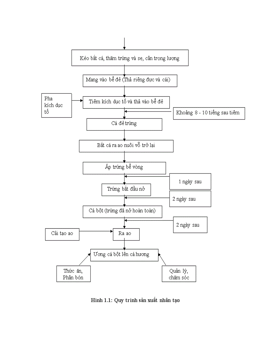image for page Tình hình nghiên cứu về cá chình trên thế giới