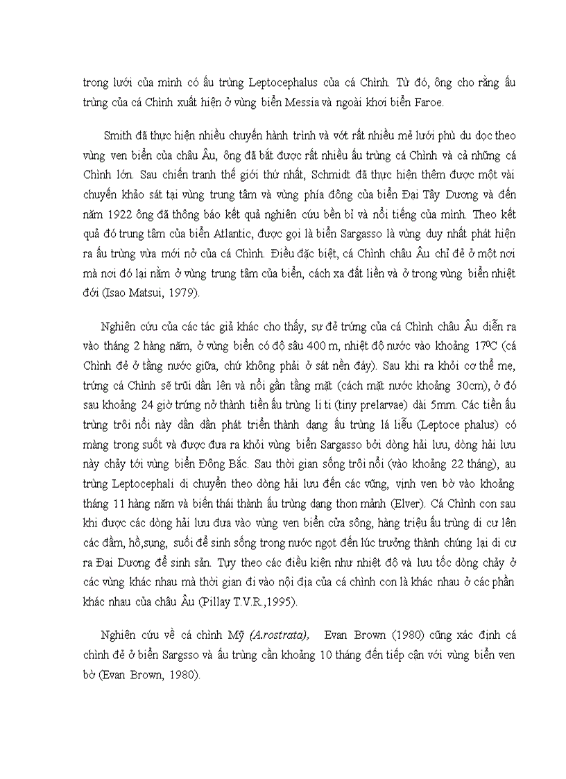 image for page Tình hình nghiên cứu về cá chình trên thế giới