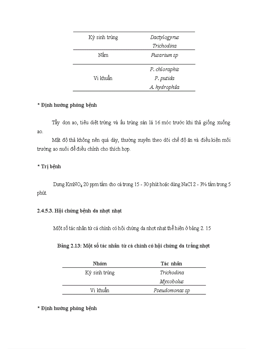 image for page Tình hình nghiên cứu về cá chình trên thế giới