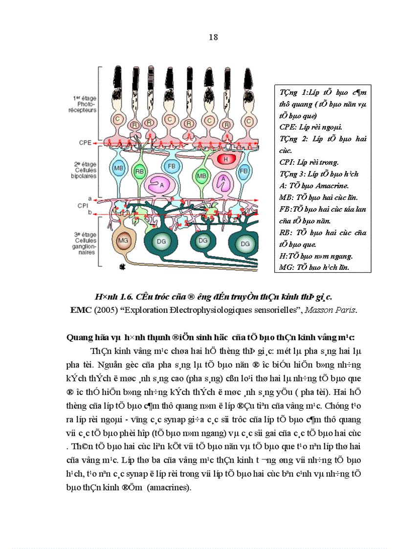 image for page Nghiên cứu đặc điểm lâm sàng cận lâm sàng của bệnh cận thị người trưởng thành và kết quả điều trị bằng phương pháp tán nhuyễn thể thủy tinh
