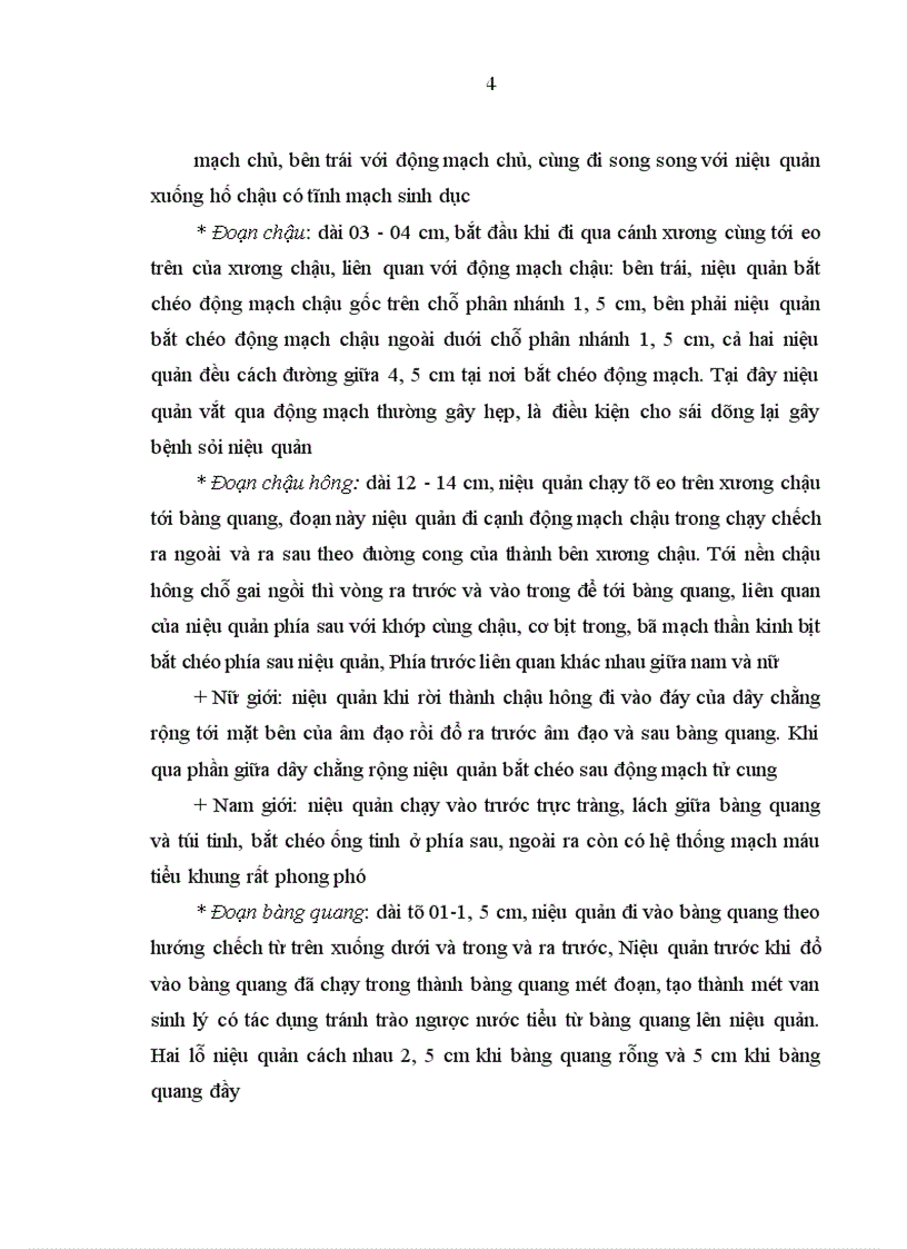 image for page Nghiên cứu điều trị sỏi niệu quản bằng phương pháp tán sỏi nội soi ngược dòng trên máy Lithoclast tại bệnh viện Thanh Nhàn
