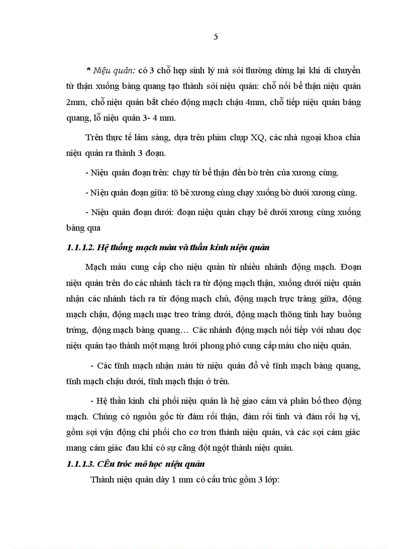 image for page Nghiên cứu điều trị sỏi niệu quản bằng phương pháp tán sỏi nội soi ngược dòng trên máy Lithoclast tại bệnh viện Thanh Nhàn