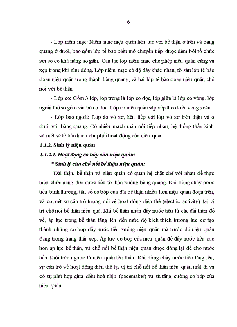 image for page Nghiên cứu điều trị sỏi niệu quản bằng phương pháp tán sỏi nội soi ngược dòng trên máy Lithoclast tại bệnh viện Thanh Nhàn