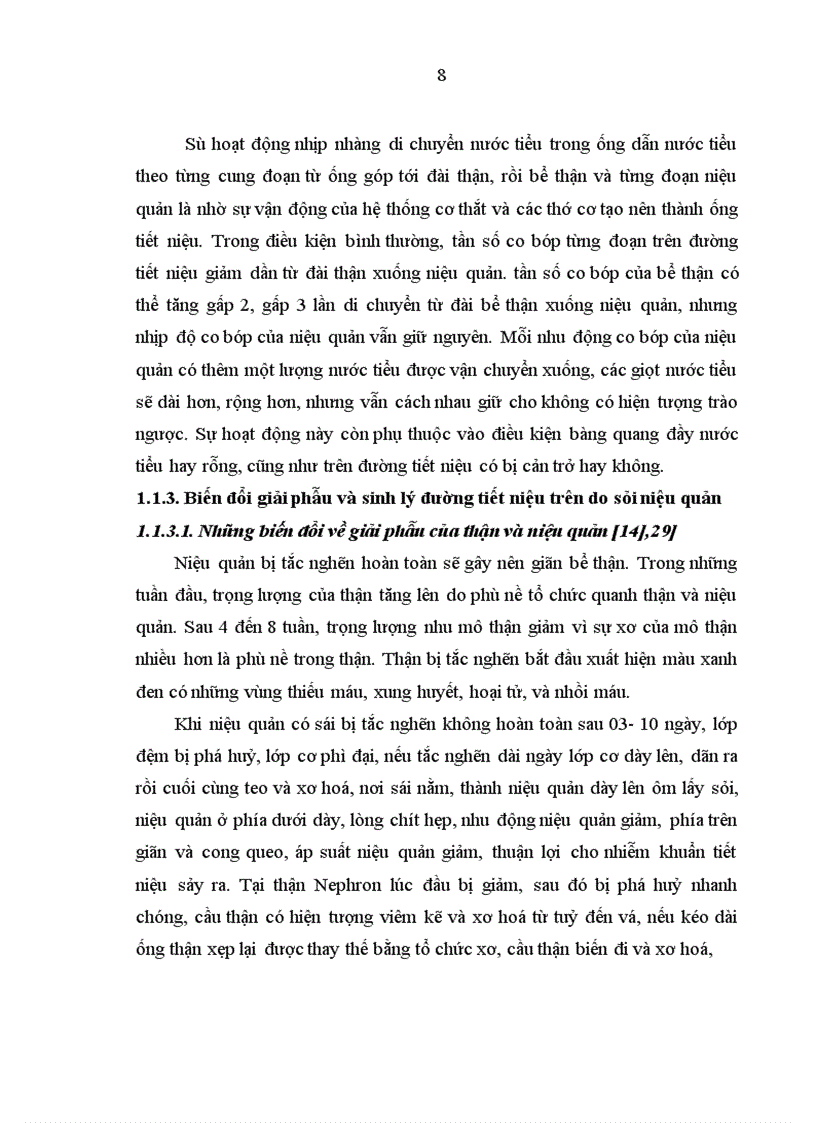 image for page Nghiên cứu điều trị sỏi niệu quản bằng phương pháp tán sỏi nội soi ngược dòng trên máy Lithoclast tại bệnh viện Thanh Nhàn