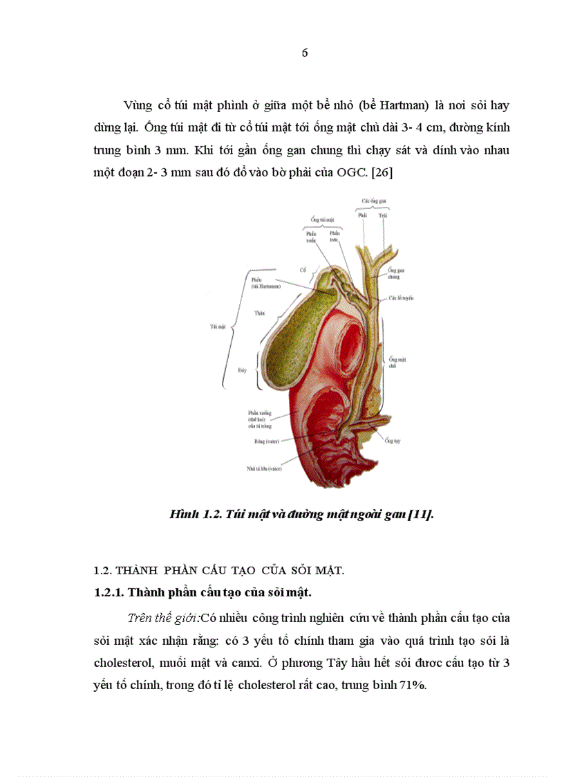 image for page Đánh giá kết quả của phương pháp phẫu thuật khâu kín ống mật chủ sau khi lấy sỏi để điều trị sỏi đường mật chính ngoài gan